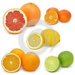 The citrus collection