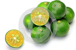 Citrus depressa