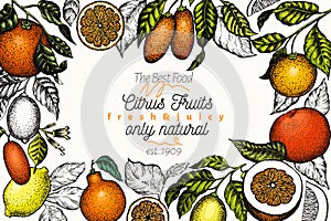 Citrus design templete. Hand drawn vector colour fruit illustration. Engraved style banner. Vintage citrus frame