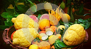 Citrus diet