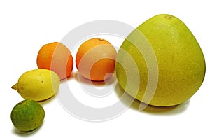 Citrus fresh fruits