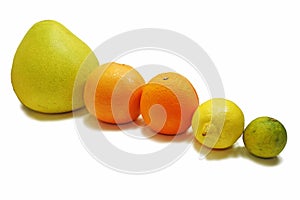 Citrus fresh fruits