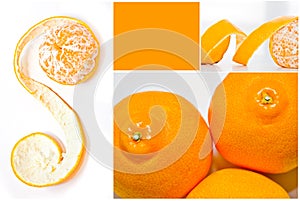 Citrus fruit