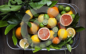 Citrus Fruit