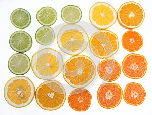 Citrus fruit arranged in a tonal color gradient on white background