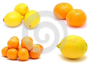 Citrus fruit collage