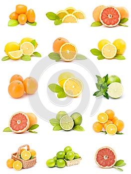 Citrus fruit collection