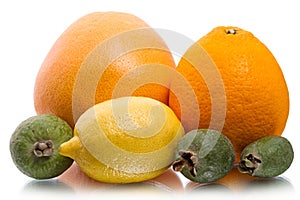Citrus fruit and feijoas