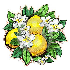 Citrus fruit and flowers colorful composition with lemons illustration. Round arrangement bouquet, generative AI