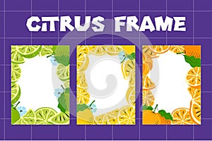 Citrus Fruit Frames and Borders Vector Collection. Hand-drawn Oranges, Lemons, and Limes