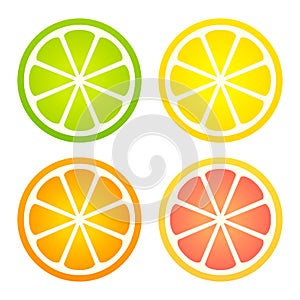 Citrus fruit icon set