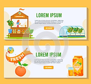 Citrus fruit juice product vector illustration, cartoon flat orange trees growing in greenhouse, fruit lemonade selling