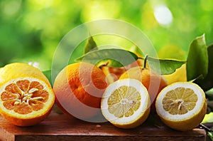 Citrus Fruit with leaves on green background