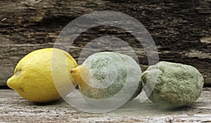 Citrus fruit lemon and mold