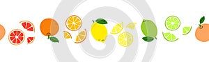 Citrus fruit. Line pattern with lemon, lime, orange, grapefruit. Seamless border. Set of bright vector fruits isolated