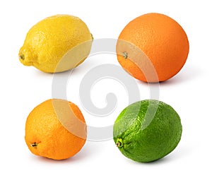 citrus fruit set