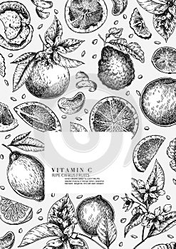 Citrus fruit set. Hand drawn orange, lemon, grapefruit, mandarin, lime, bergamot, leaves with bloosm and branches. Vector engraved