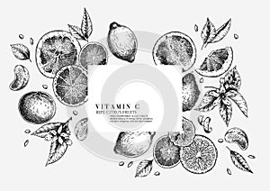 Citrus fruit set. Hand drawn orange, lemon, grapefruit, mandarin, lime, bergamot, leaves with bloosm and branches. Vector engraved