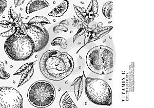 Citrus fruit set. Hand drawn orange, lemon, grapefruit, mandarin, lime, bergamot, leaves with bloosm and branches. Vector engraved