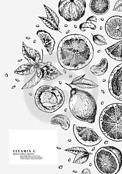 Citrus fruit set. Hand drawn orange, lemon, grapefruit, mandarin, lime, bergamot, leaves with bloosm and branches. Vector engraved