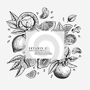 Citrus fruit set. Hand drawn orange, lemon, grapefruit, mandarin, lime, bergamot, leaves with bloosm and branches. Vector engraved