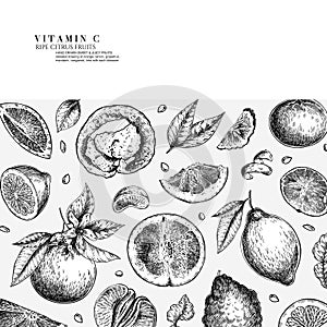 Citrus fruit set. Hand drawn orange, lemon, grapefruit, mandarin, lime, bergamot, leaves with bloosm and branches. Vector engraved