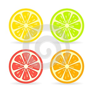 Citrus fruit slice vector icon