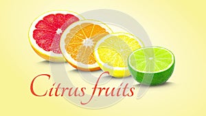 citrus fruit slices animation
