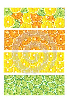 Citrus Fruit Slices Banner Designs