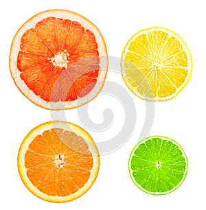 Citrus fruit slices isolated