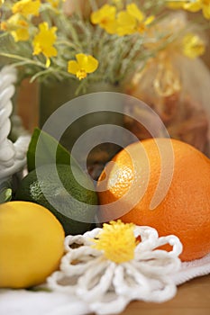 Citrus Fruit Still Life Set with Yellow Flowers