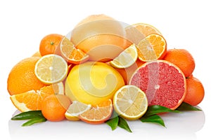 Citrus fruits