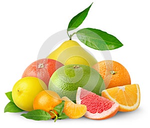 Citrus fruits