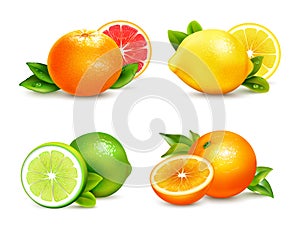 Citrus Fruits 4 Realistic Icons Set