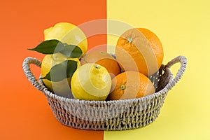 citrus fruits photo