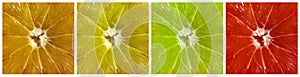 Citrus fruits collage