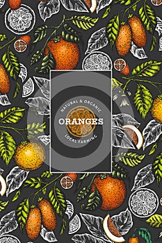 Citrus fruits design template. Hand drawn vector color fruit illustration on dark background. Vintage citrus banner