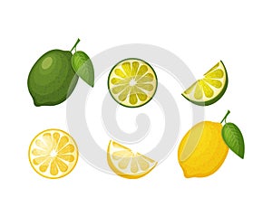 Citrus fruits. Image of lemon and lime. Sliced lemon. Half a lime. Ripe citrus fruit. Vector illustration isolated on a