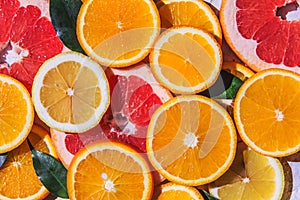 Citrus fruits. Orange, lemon, grapefruit