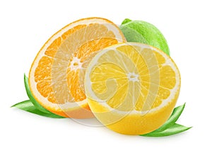 Citrus fruits. Orange, lemon, lime isolated on white background.