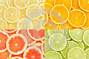 Citrus fruits oranges lemons food background collection collage set fruit