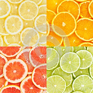 Citrus fruits oranges lemons food background collection collage set square fruit