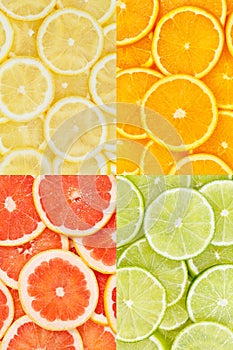 Citrus fruits oranges lemons food background portrait format collection collage set fruit