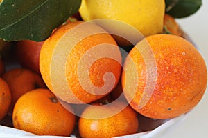 Citrus fruits of Sicily - Italy