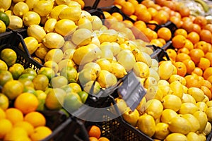 Citrus fruits sold in the supermarket, lemons, oranges, limes in boxes