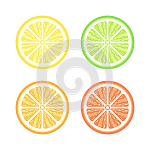 Citrus fruits vector illustration set