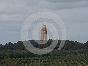 Citrus Grove with Bok Tower