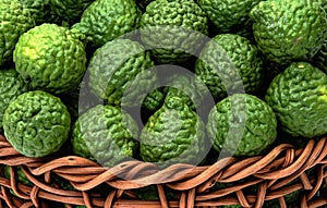 Citrus hystrix, bergamot fruit for herbal medicine