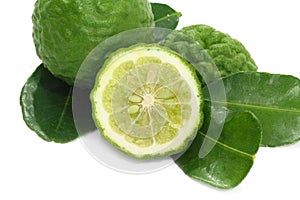 Citrus hystrix, Bergamot white background