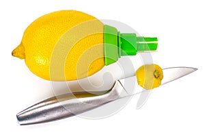 Citrus juice sprayer and lemon